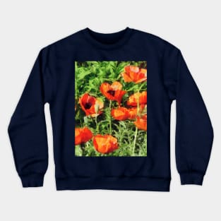 Poppies - Field of Red Poppie Crewneck Sweatshirt